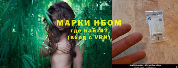 гидра Алексин