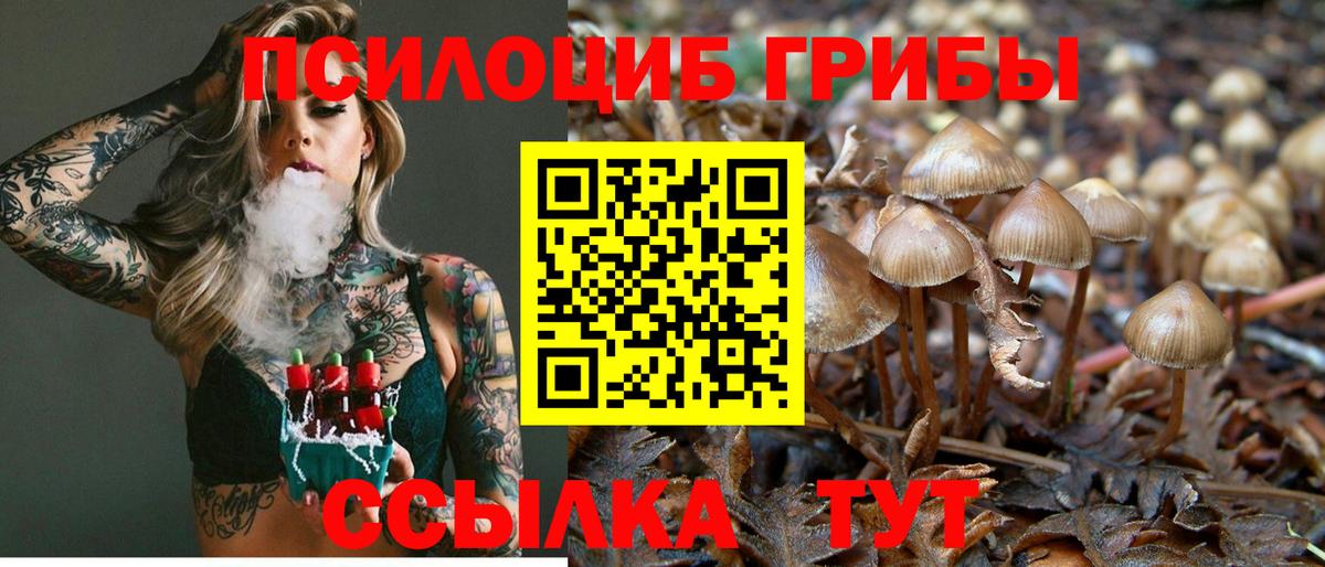 Псилоцибиновые грибы мицелий Узловая