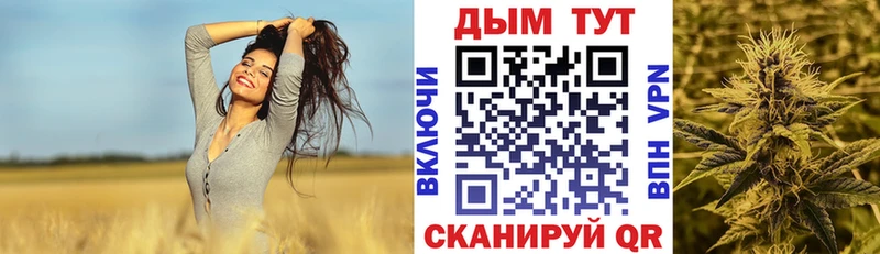 KRAKEN Узловая МАРИХУАНА индика